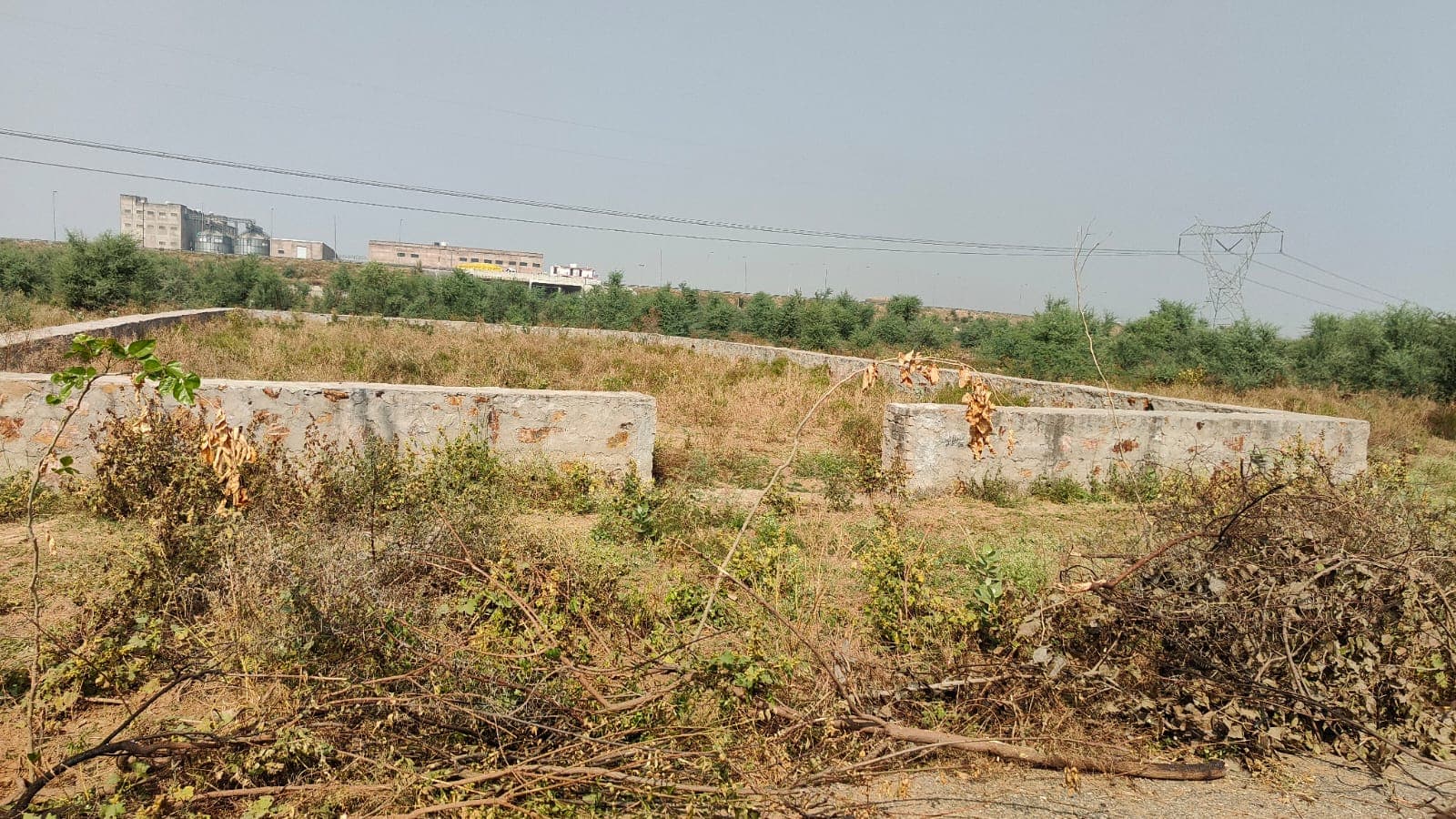113 square yard, JDA, East, Residential plot is available for sale at Jagatpura