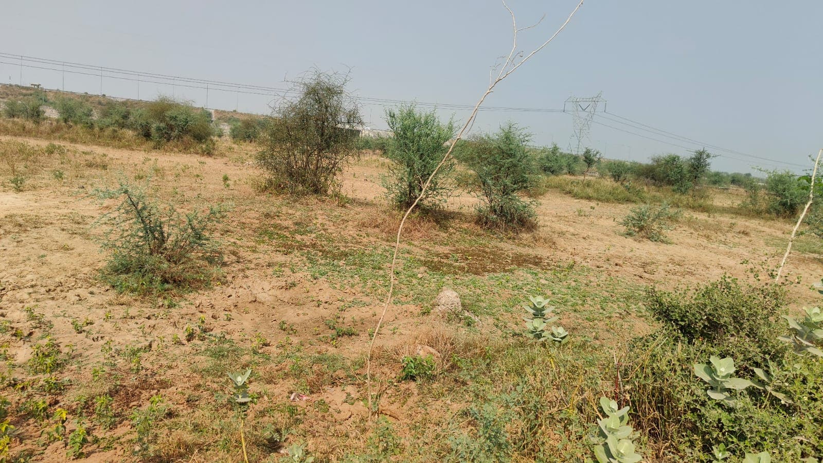 183 square yard, JDA, East, Residential plot is available for sale at Jagatpura
