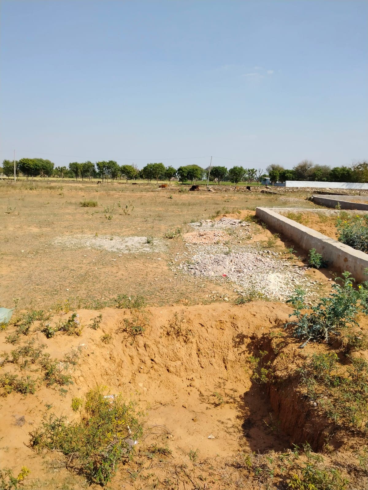 269 square yard, JDA, East, Residential plot is available for sale at Jagatpura