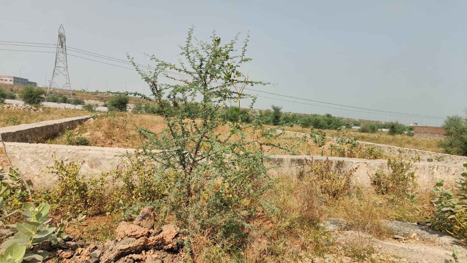 1250 square meter, JDA, North'South, Commercial plot is available for sale at Ring Road