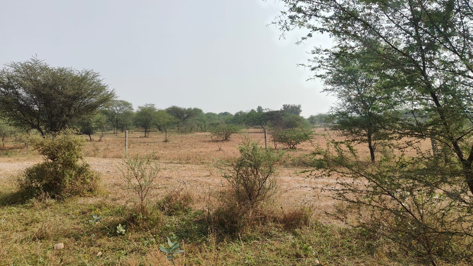 233 square yard, JDA, West, Residential plot is available for sale at Jagatpura