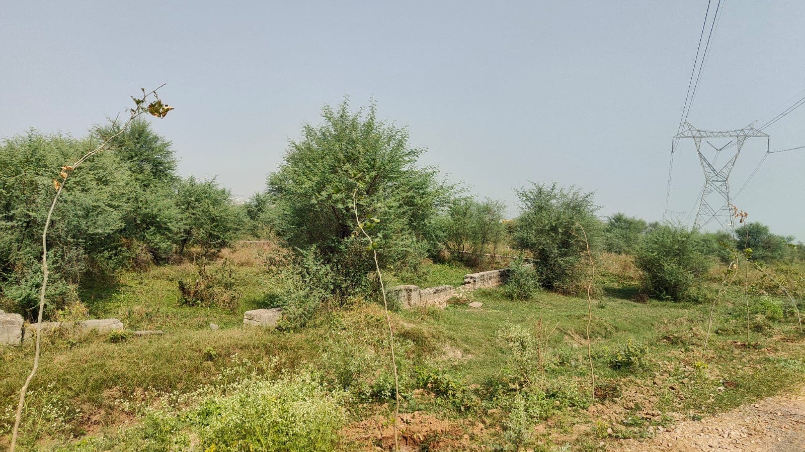 111 square yard, JDA, South West, Residential plot is available for sale at Jagatpura