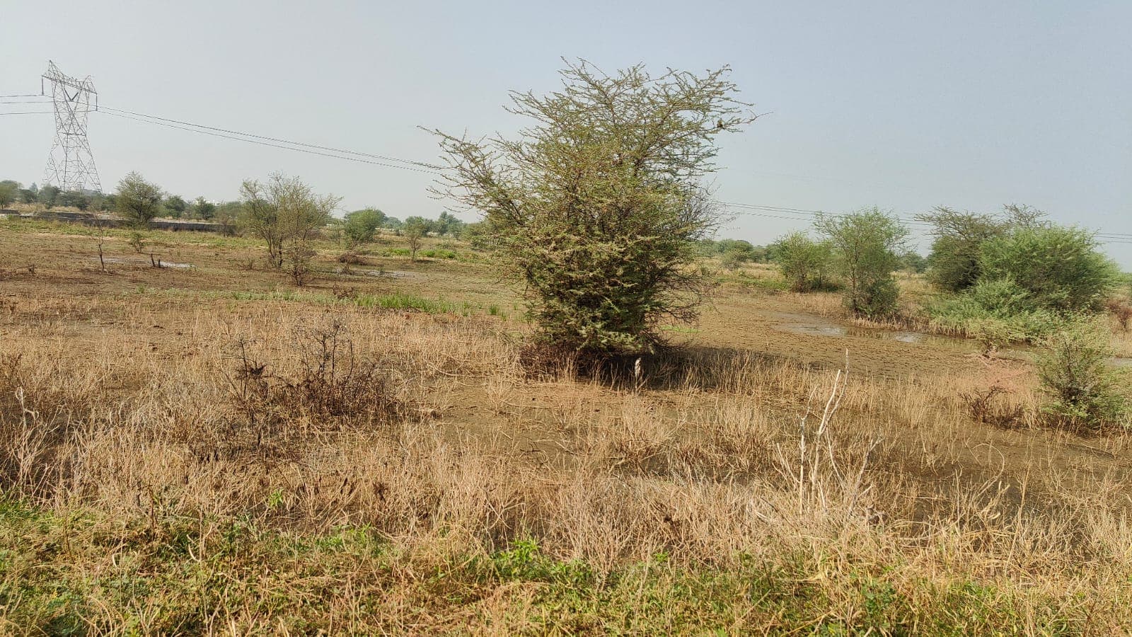 116 square yard, JDA, West, Residential plot is  available for sale at Jagatpura