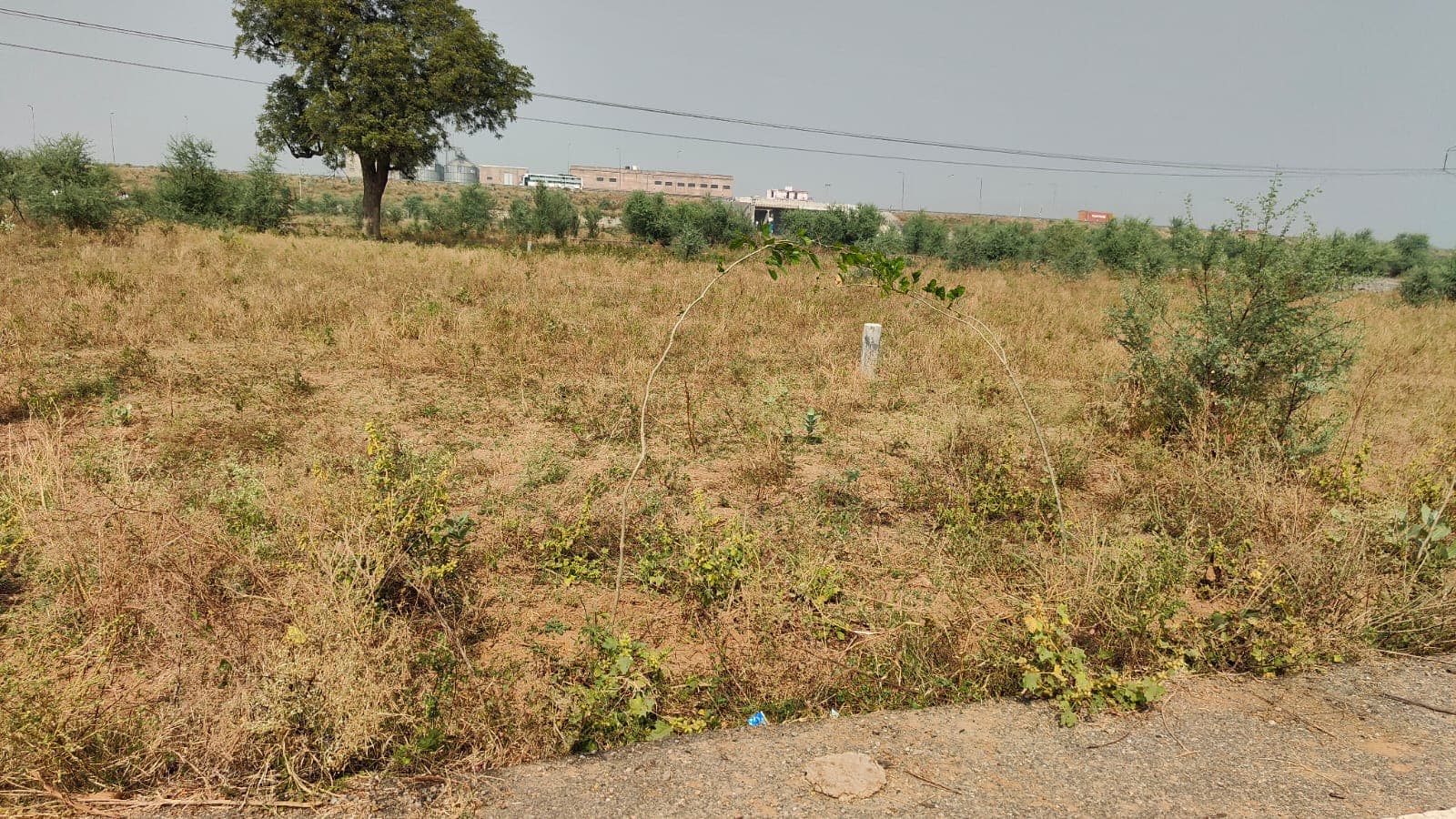 261 square yard, RIICO, West, Commercial plot ia available for sale at Jagatpura