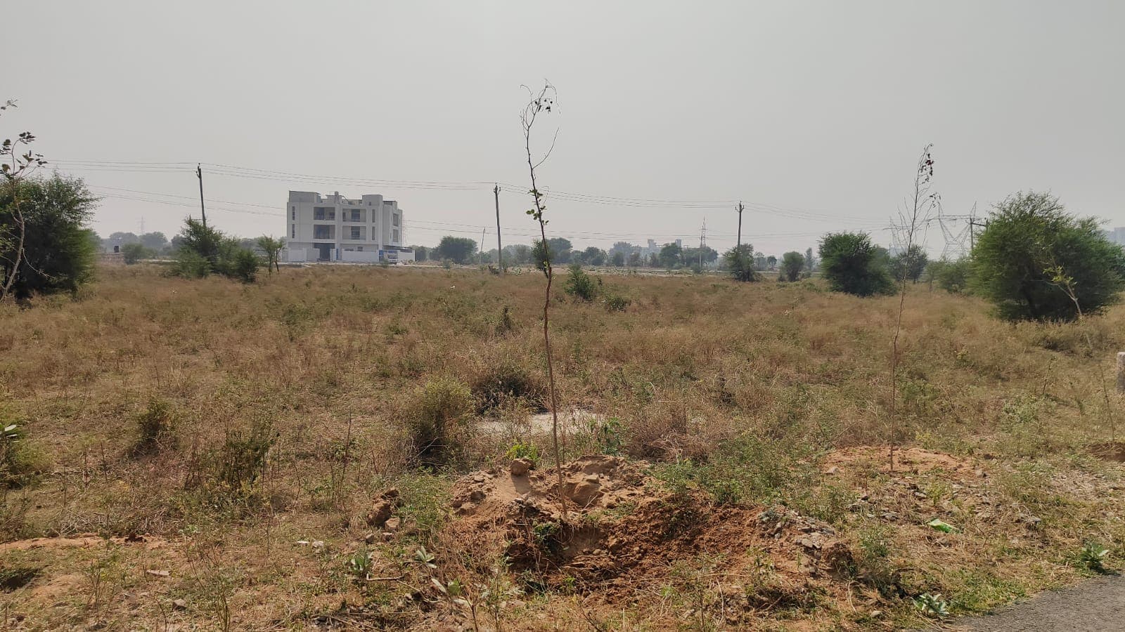 500 square yard, JDA, West, Residential plot is available for sale at Jagatpura