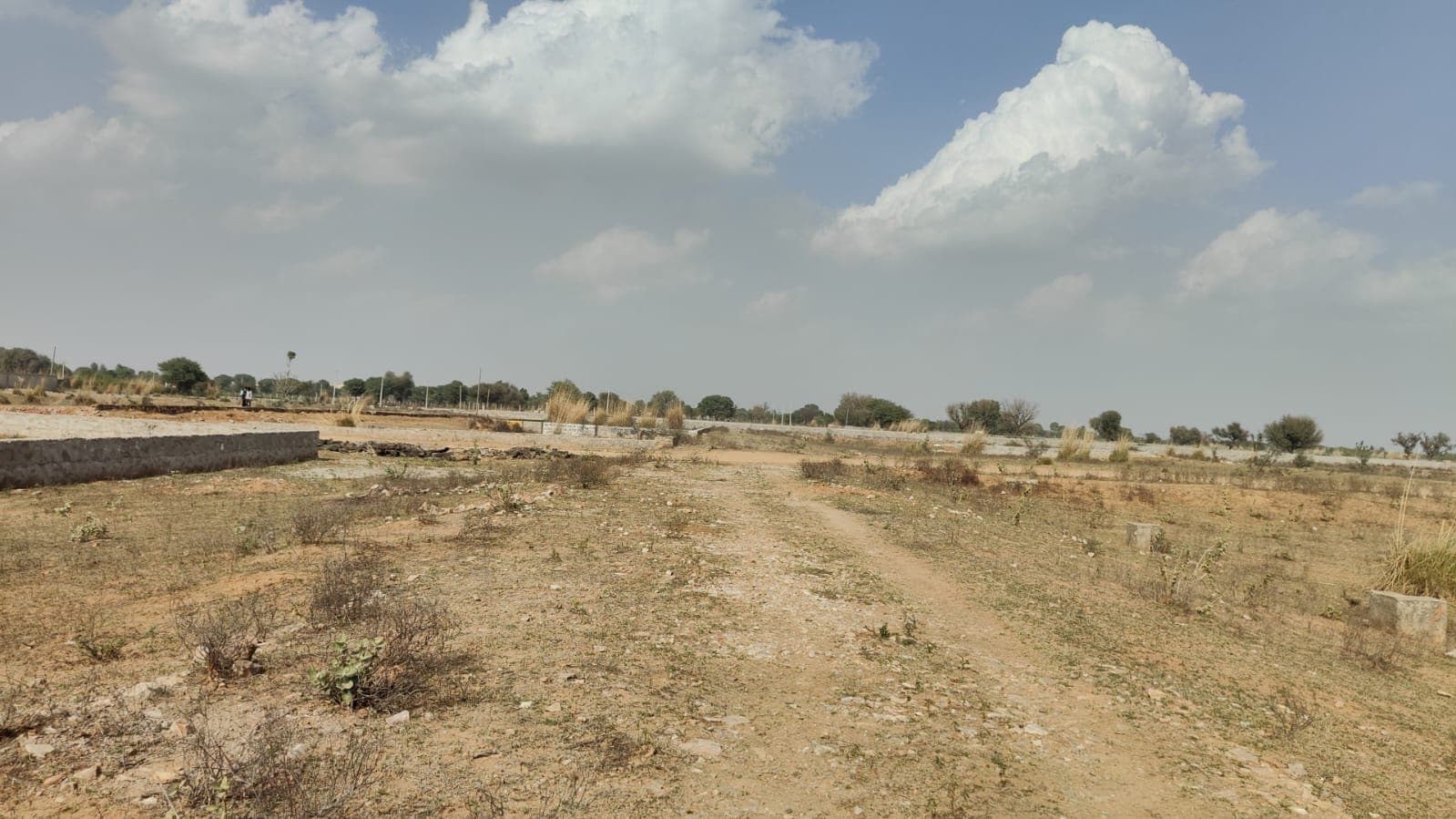 517 square meter, JDA, South East. Commercial plot is available for sale at Ring Road