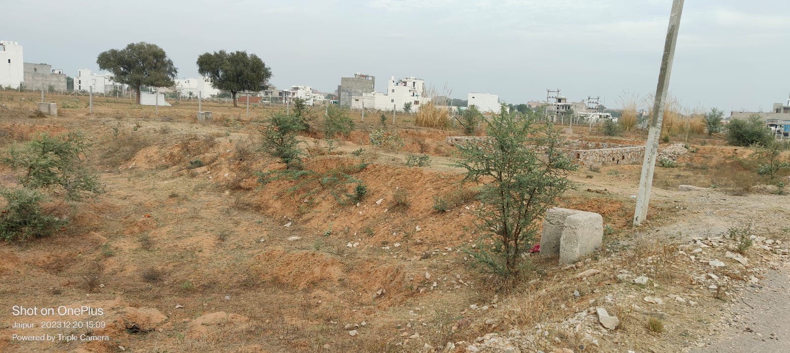 1250 square meter, JDA, North South East, Commercial plot is available for sale at Ring Road