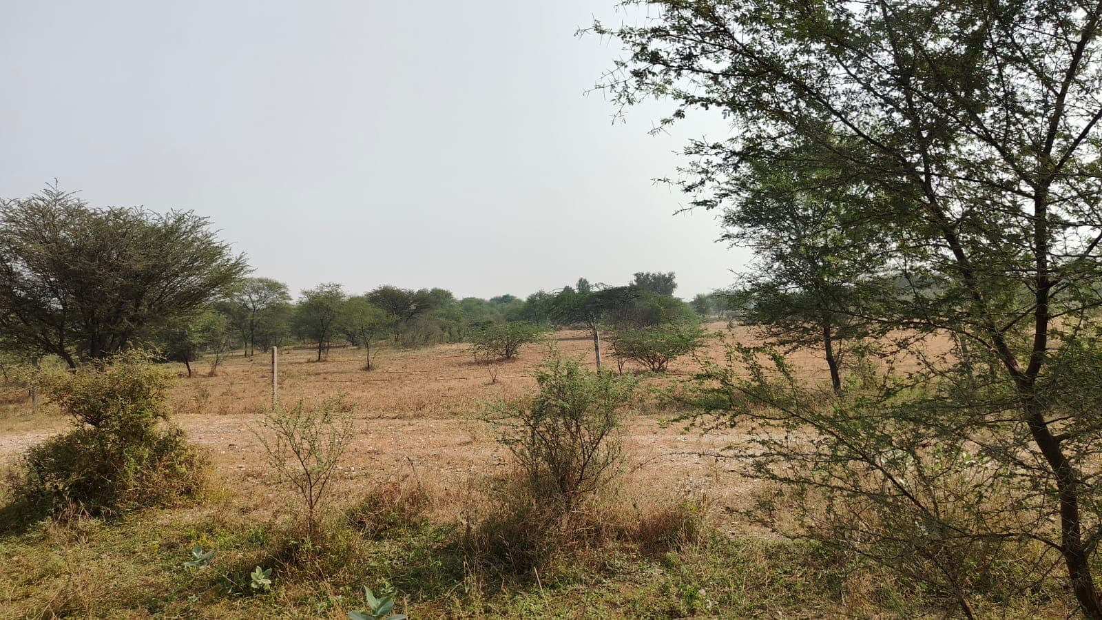 88 square yard, JDA, south, Commercial plot is available for sale at Jagatpura