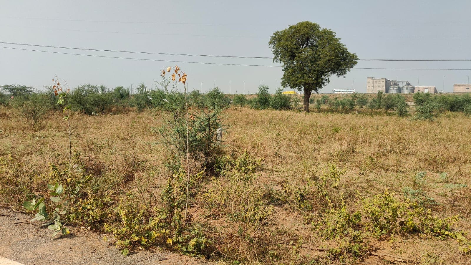 150 square feet, JDA, North, Commercial plot is available for sale at Jagatpura