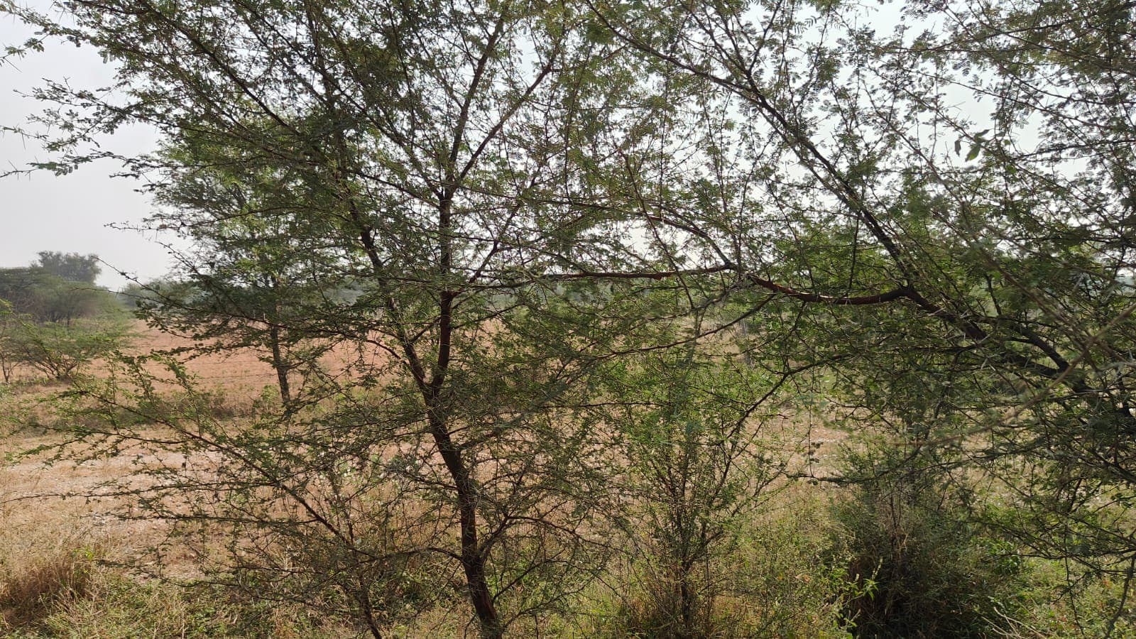 180 square yard, JDA, West, Residential plot is available for sale at Jagatpura