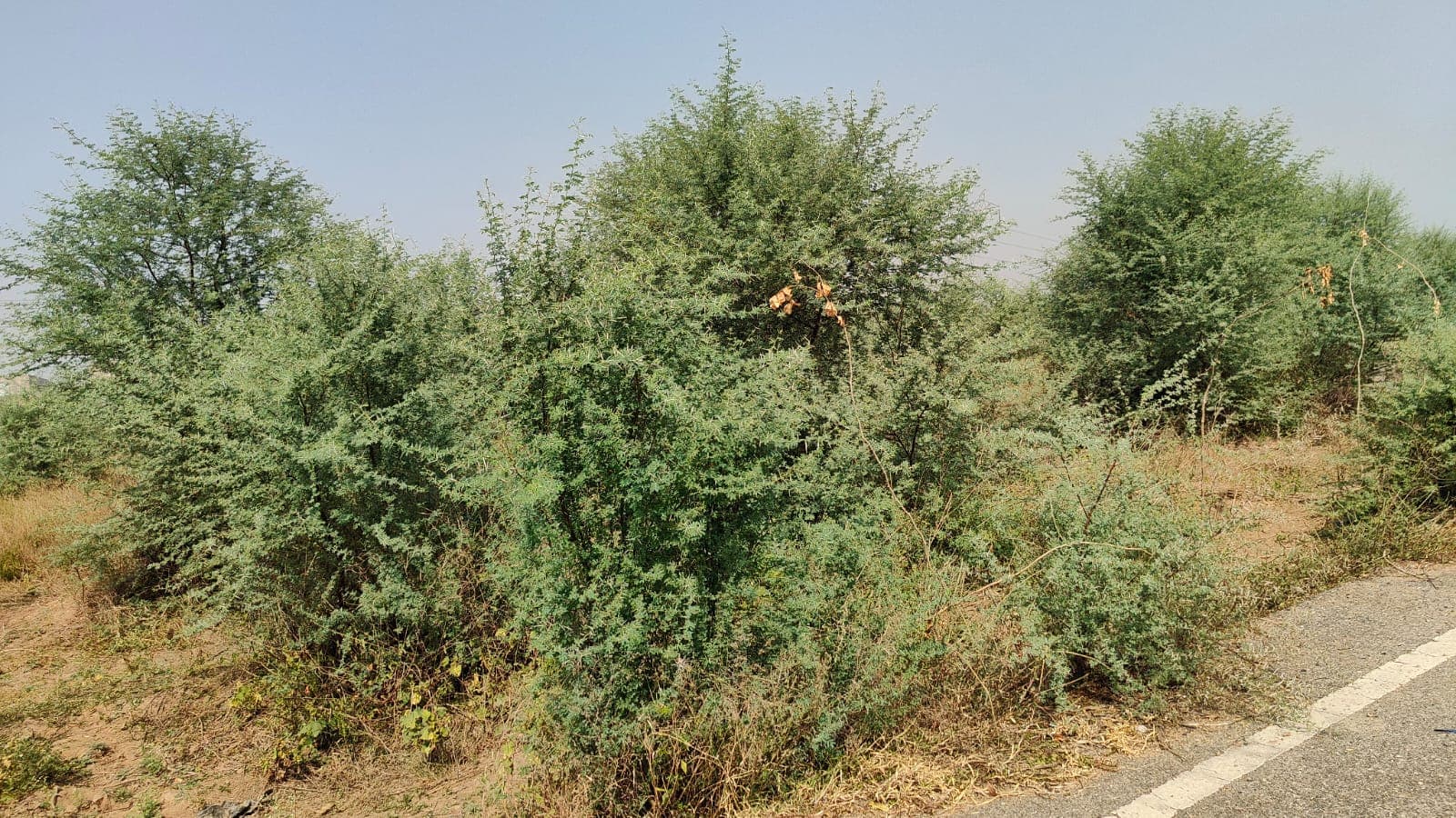 216 square yard, JDA, West, Residential plot is available for sale at Jagatpura