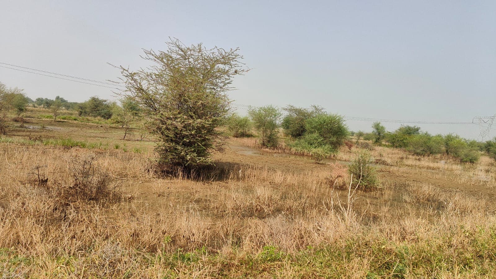 414 square yard, JDA, North, Residential plot is available for sale at Jagatpura