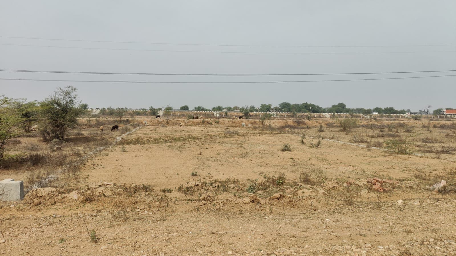 1666 square yard, JDA, East West, Commercial plot is available for sale at Jagatpura