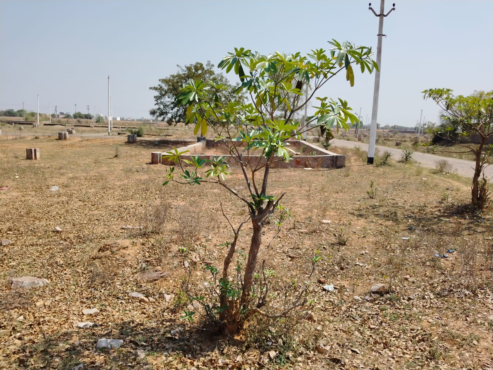 485 square yard, RHB, North West, Commercial plot is available for sale at Malviya Nagar