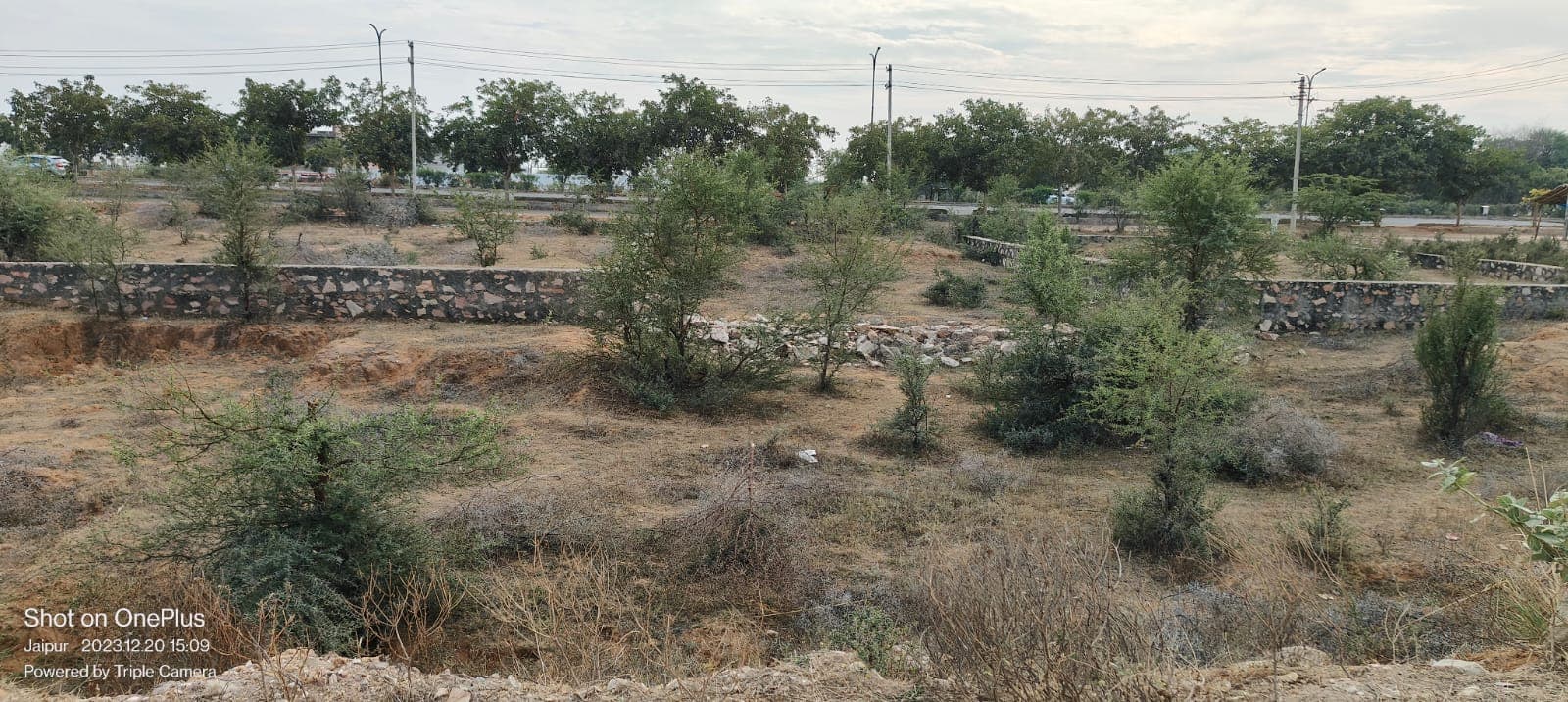 930 square yard, JDA, North South East, Commercial plot is available for sale at Jagatpura
