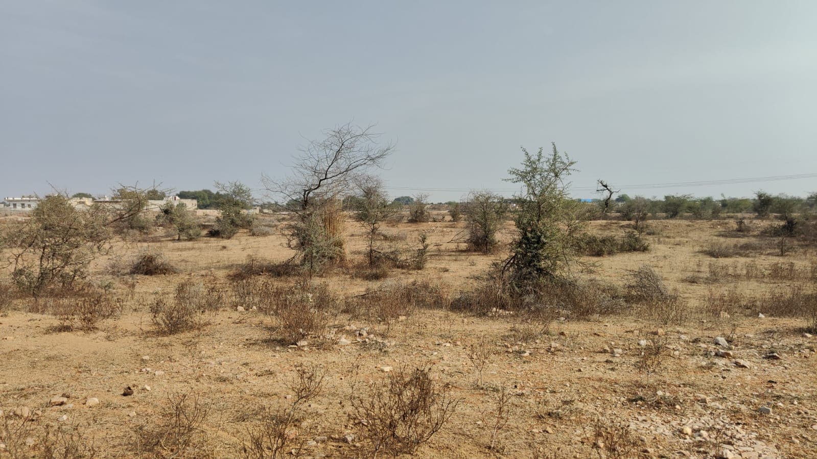 309 square yard, JDA, East, Commercial plot is available for sale at Jagatpura