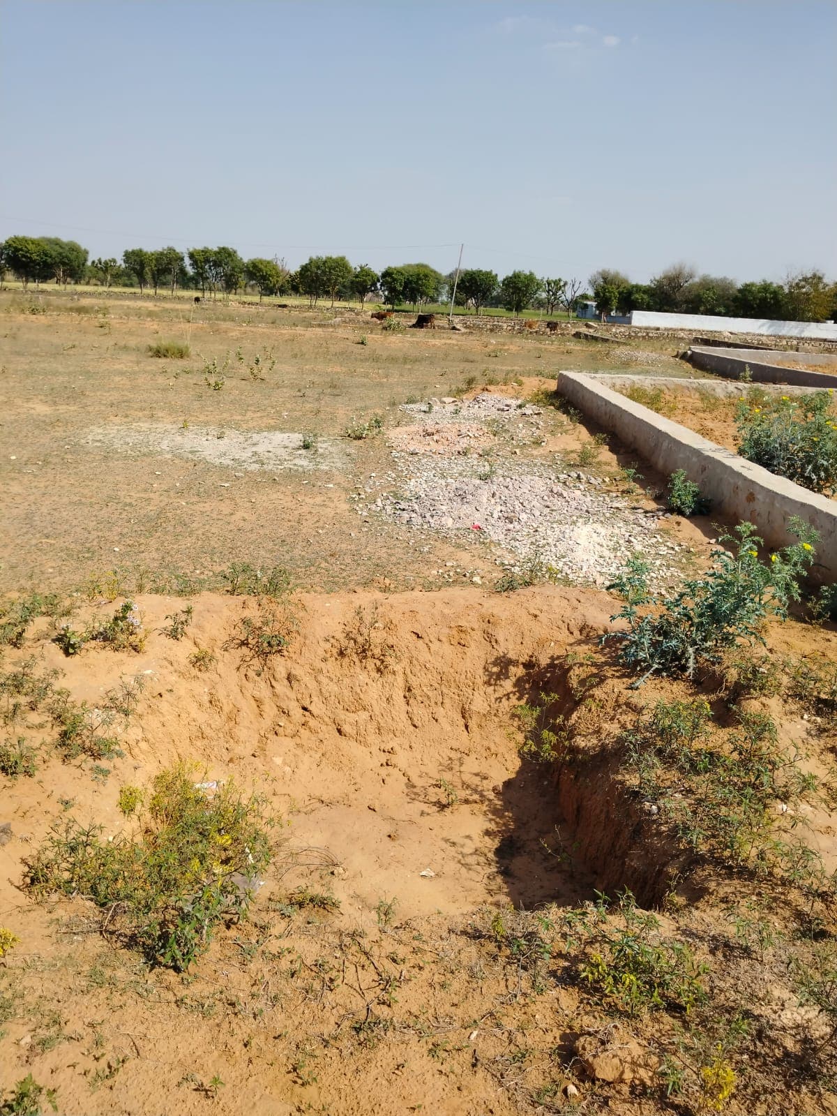 450 square yard, JDA, South West, Commercial plot is available for sale at Jagatpura
