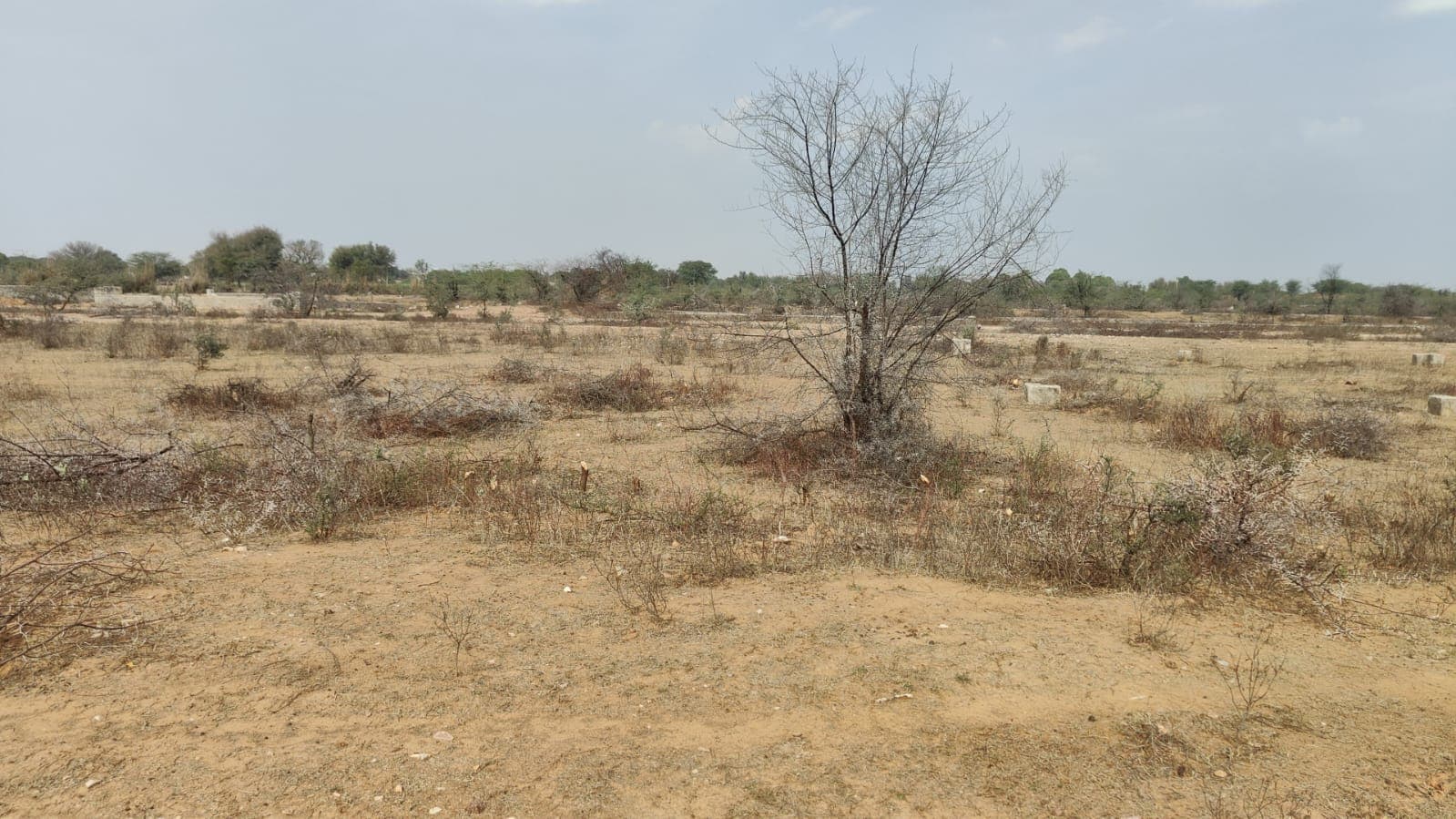 1200 square yard, JDA, East West, Commercial plot is available for sale at Jagatpura