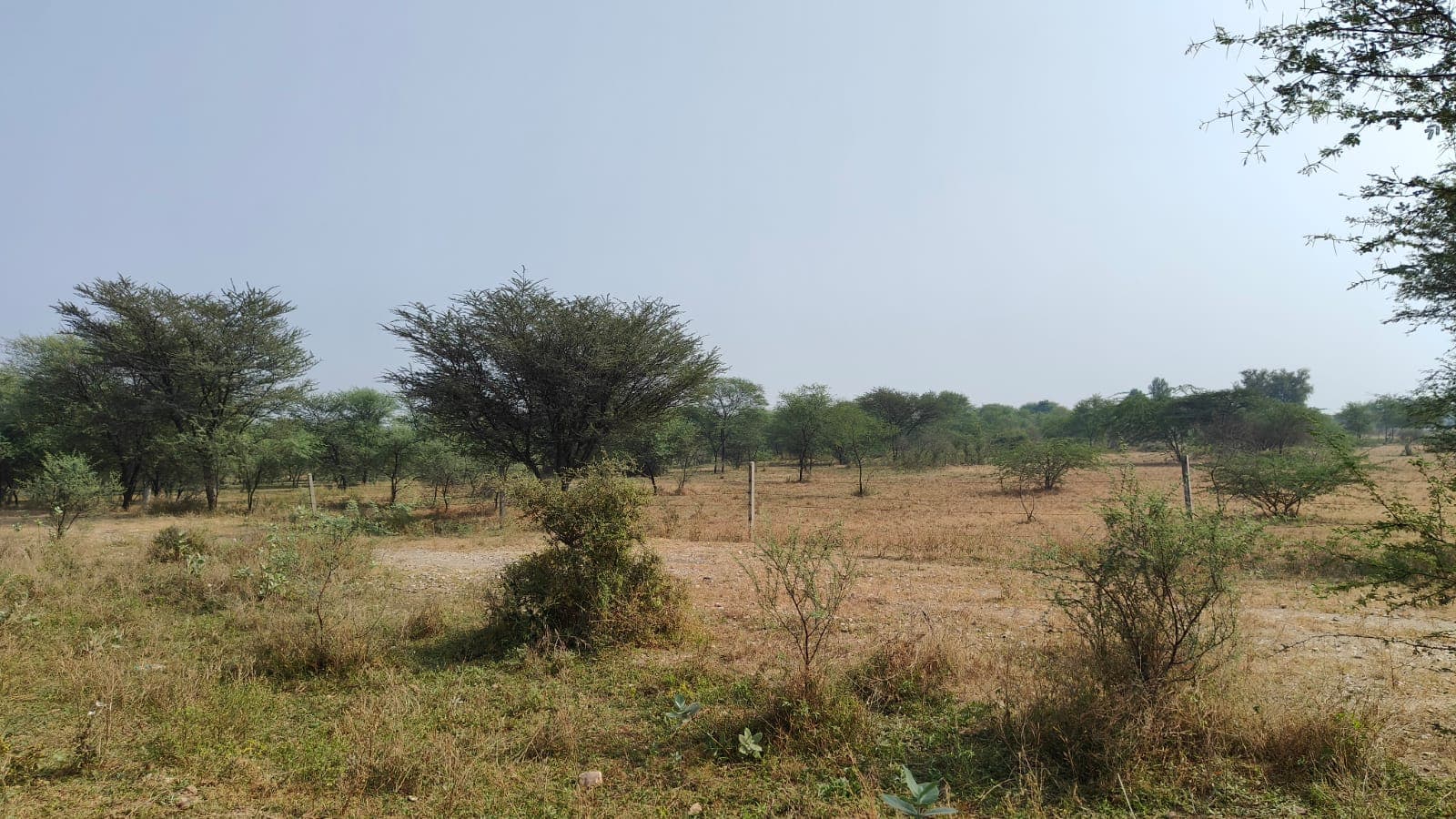 460 square yard, JDA, South West, Residential plot is available for sale at Jagatpura