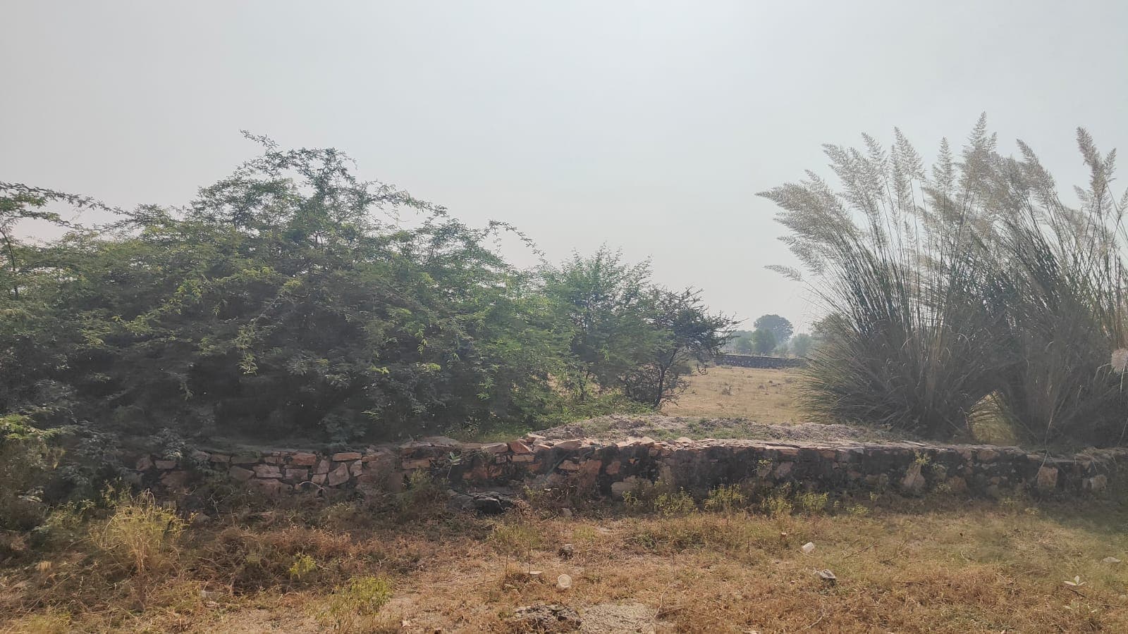 500 square yard, JDA, South East, Commercial plot is available for sale at Jagatpura