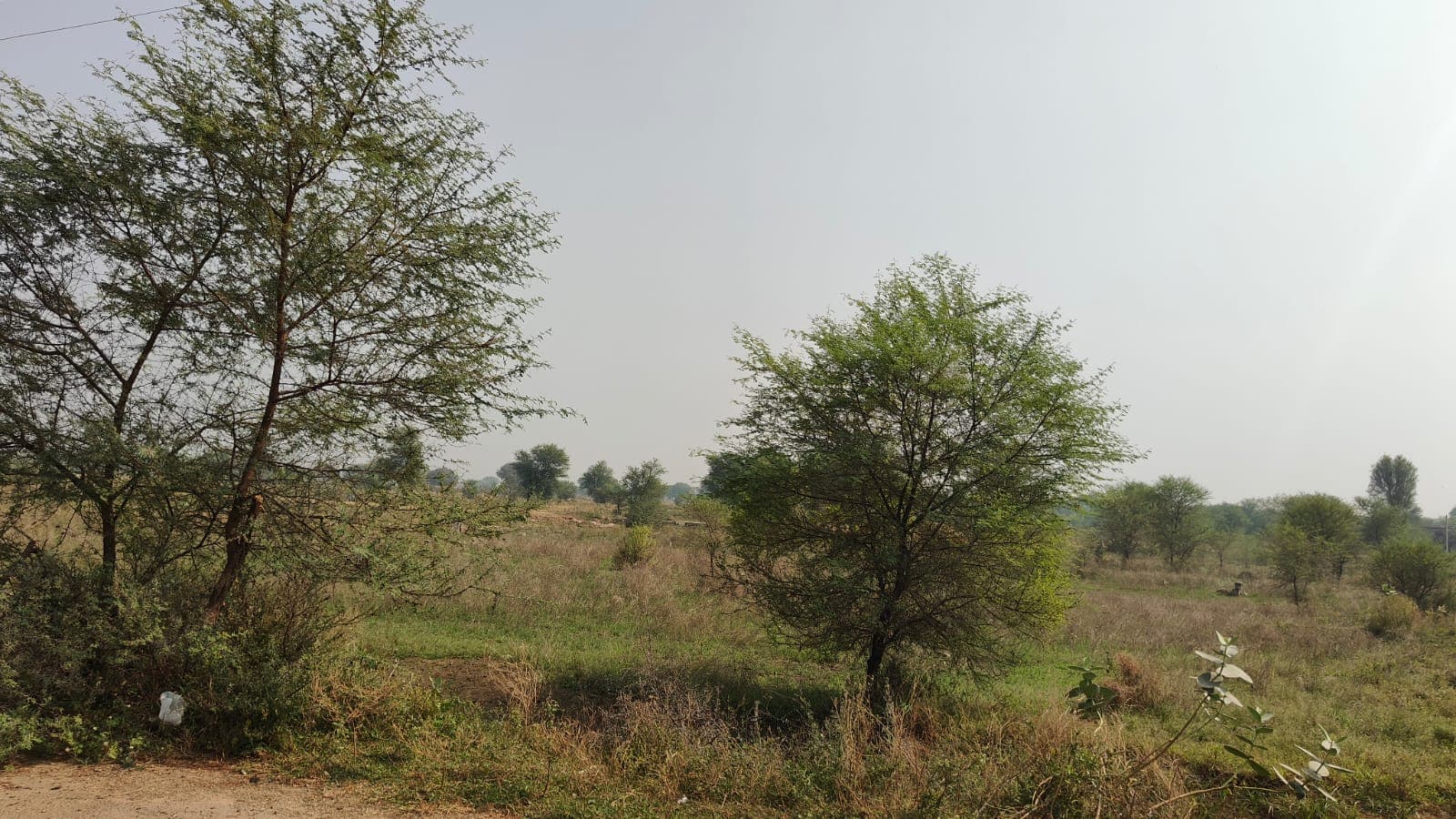 352 square meter, JDA, West, Commercial plot is available for sale at Ring Road