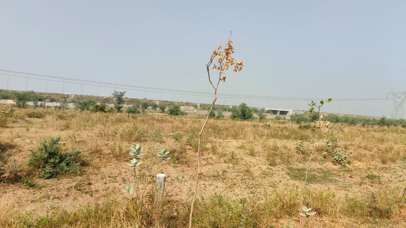 313 square meter, JDA, North, Commercial plot is available for sale at Ring Road