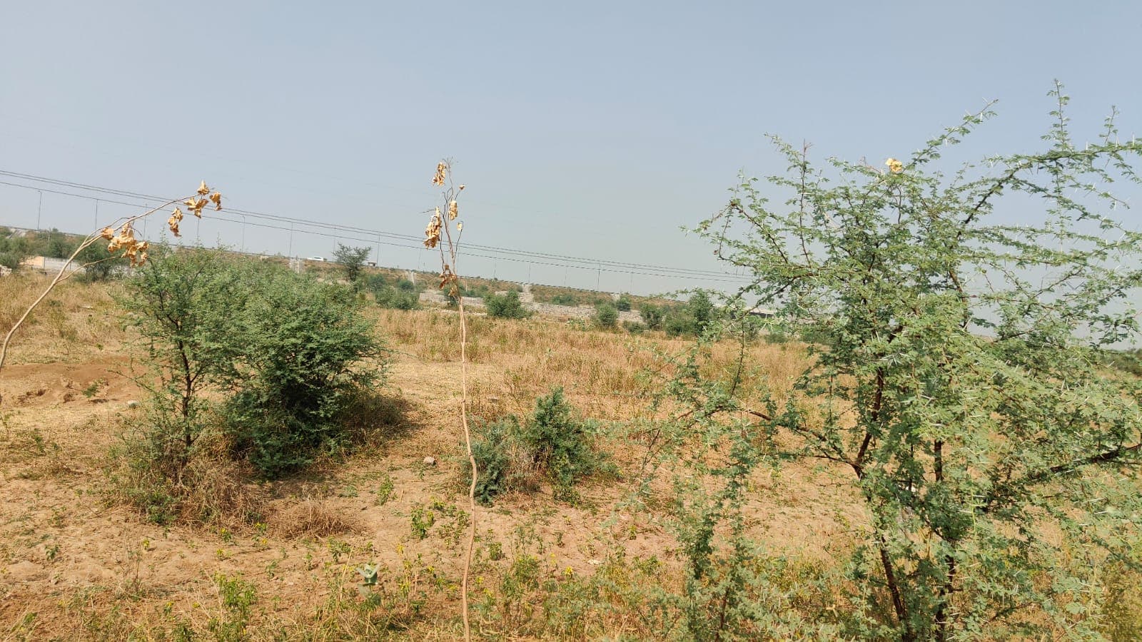 313 square meter, JDA, North, Commercial plot is available for sale at Ring Road