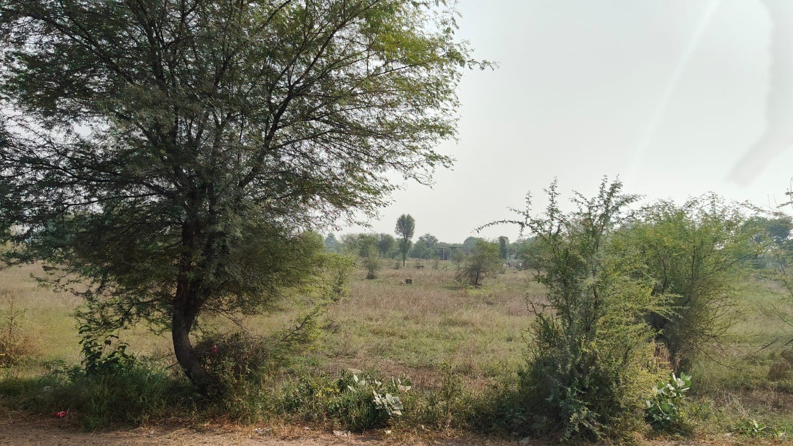 153 square yard, JDA, East, Residential plot is available for sale at Jagatpura