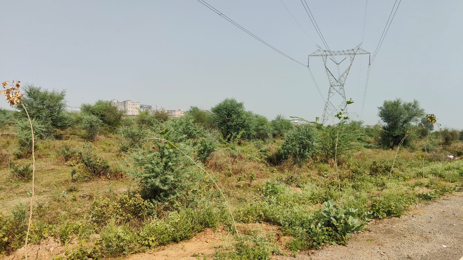 251 square yard, JDA, South East, Commercial plot is available for sale at Jagatpura