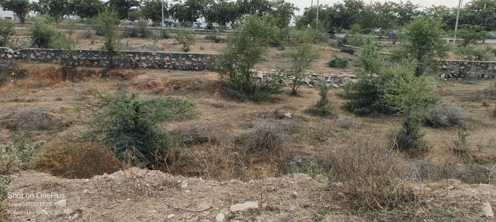 50 square meter, JDA, South, Commercial plot is available for sale at Jagatpura