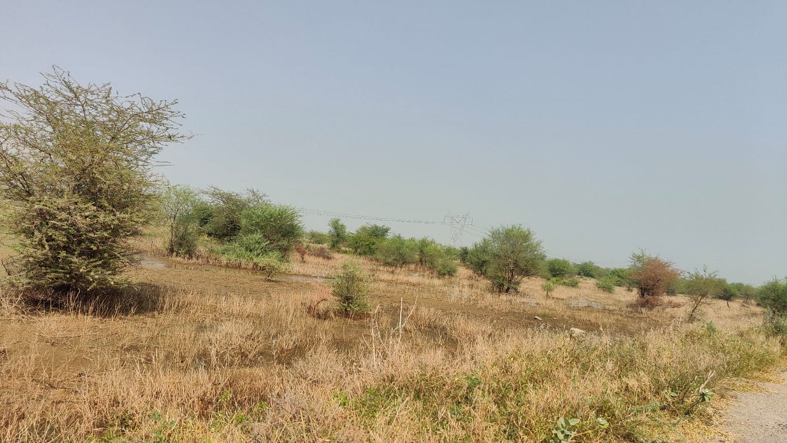 335 square yard, JDA, West, Residential plot is available for sale Jagatpura