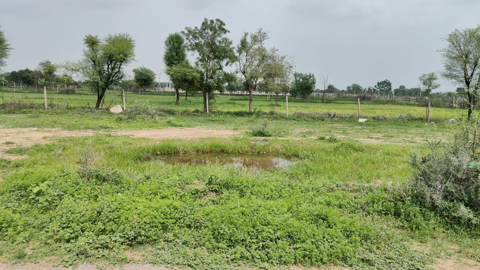 194 square yard, JDA, East, Residential plot is available for sale at Jagatpura